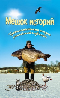 Мешок историй. Трагикомическая жизнь российской глубинки - Александр Росков