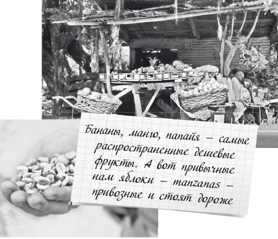Будни Гринго в Америке Будни Гринго в Америке