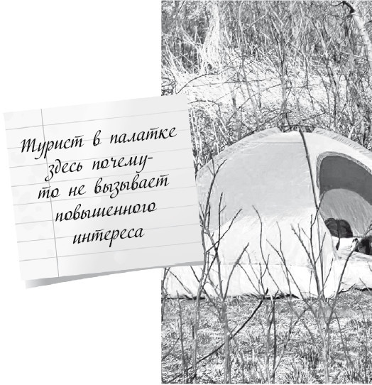 Будни Гринго в Америке Будни Гринго в Америке
