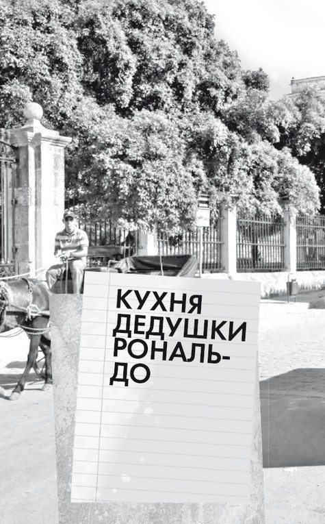 Будни Гринго в Америке Будни Гринго в Америке