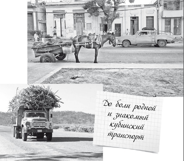 Будни Гринго в Америке Будни Гринго в Америке