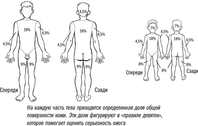 Первая помощь своими руками. Если скорая не спешит Первая помощь своими руками. Если скорая не спешит