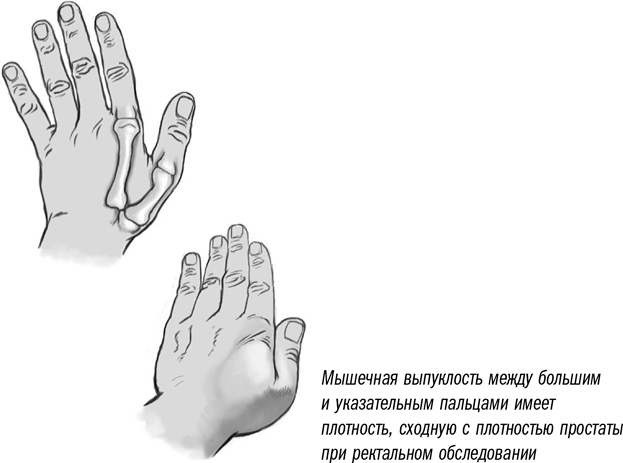 Первая помощь своими руками. Если скорая не спешит Первая помощь своими руками. Если скорая не спешит