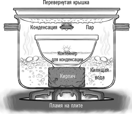 Первая помощь своими руками. Если скорая не спешит Первая помощь своими руками. Если скорая не спешит