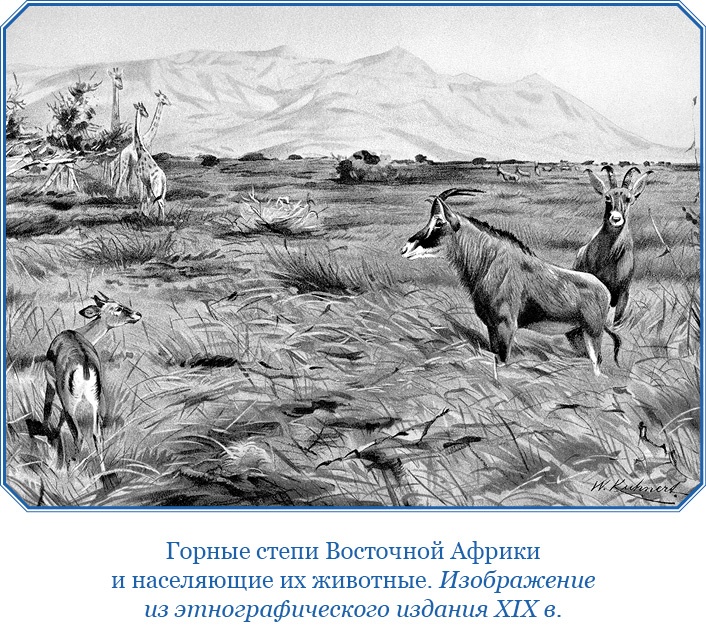 Дневники исследователя Африки Дневники исследователя Африки
