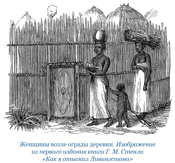 Дневники исследователя Африки Дневники исследователя Африки
