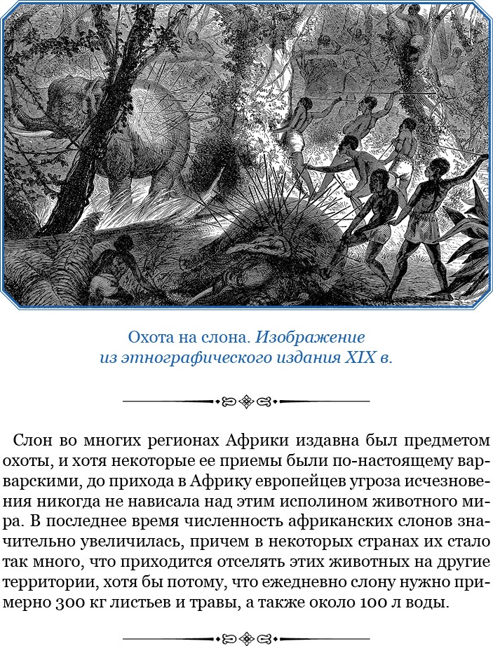 Дневники исследователя Африки Дневники исследователя Африки