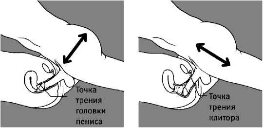 7 минут до оргазма. Книга-тренинг