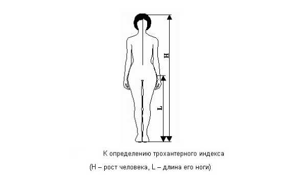 7 минут до оргазма. Книга-тренинг
