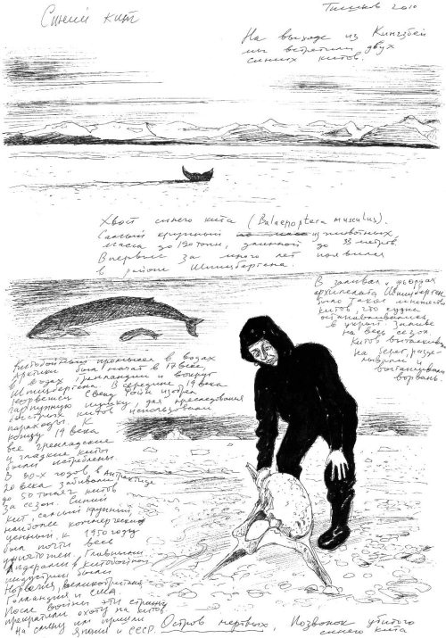 Гуд бай, Арктика!.. Гуд бай, Арктика!..