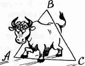 У нас в 5 "Б" У нас в 5 "Б"