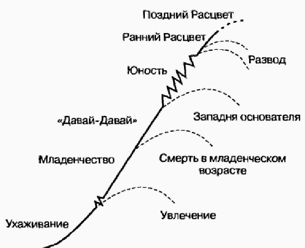 Управление жизненным циклом корпорации Управление жизненным циклом корпорации