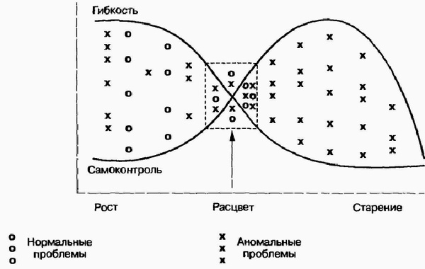 Управление жизненным циклом корпорации Управление жизненным циклом корпорации
