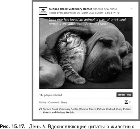 Жесткий SMM. Выжать из соцсетей максимум