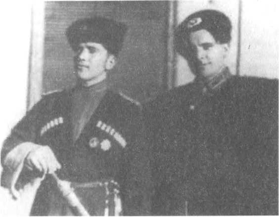Казаки. Между Гитлером и Сталиным Казаки. Между Гитлером и Сталиным