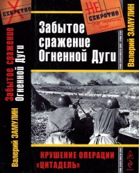 Забытое сражение Огненной Дуги - Валерий Замулин