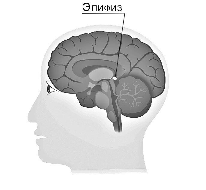 Самые сенсационные материалы Самые сенсационные материалы