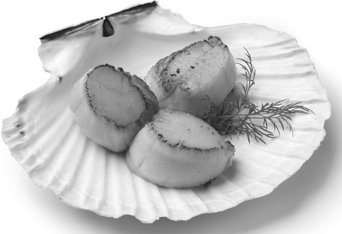 Кухонные шпаргалки Кухонные шпаргалки