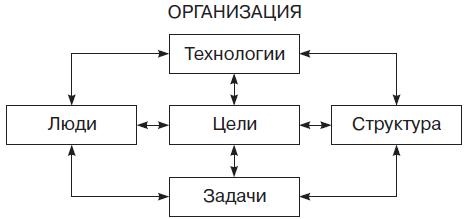 Теория организации