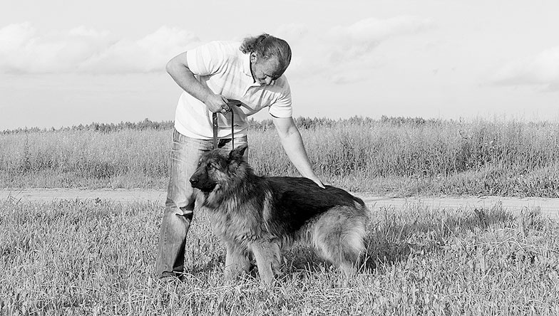 Диалог с собакой. Выбираем, воспитываем, дрессируем Диалог с собакой. Выбираем, воспитываем, дрессируем