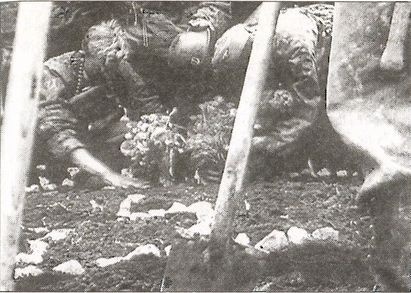 1941 год глазами немцев. Березовые кресты вместо железных 1941 год глазами немцев. Березовые кресты вместо железных