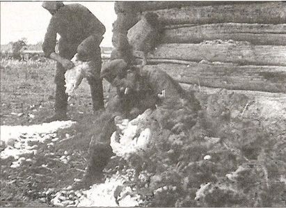 1941 год глазами немцев. Березовые кресты вместо железных 1941 год глазами немцев. Березовые кресты вместо железных