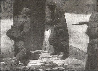 1941 год глазами немцев. Березовые кресты вместо железных 1941 год глазами немцев. Березовые кресты вместо железных