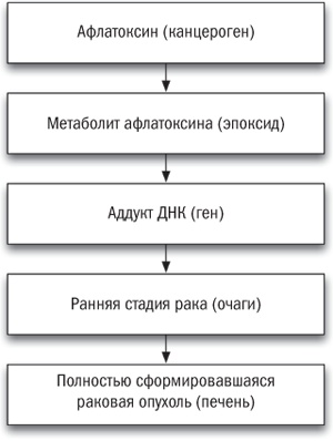 Полезная еда. Развенчание мифов о здоровом питании Полезная еда. Развенчание мифов о здоровом питании