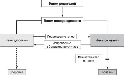 Полезная еда. Развенчание мифов о здоровом питании Полезная еда. Развенчание мифов о здоровом питании