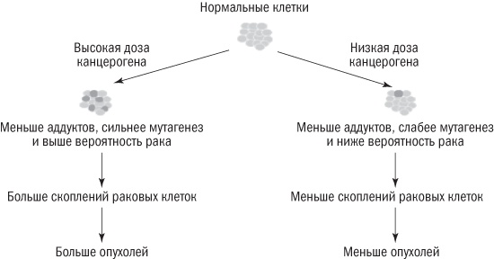 Полезная еда. Развенчание мифов о здоровом питании Полезная еда. Развенчание мифов о здоровом питании