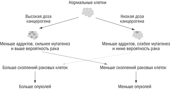 Полезная еда. Развенчание мифов о здоровом питании Полезная еда. Развенчание мифов о здоровом питании