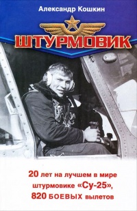 Штурмовик - Евгений Зубарев