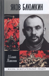 Яков Блюмкин. Ошибка резидента - Евгений Матонин