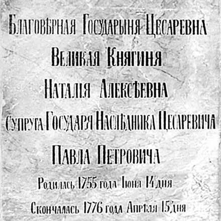 Врачи двора его Императорского величества, или Как лечили царскую семью Врачи двора его Императорского величества, или Как лечили царскую семью