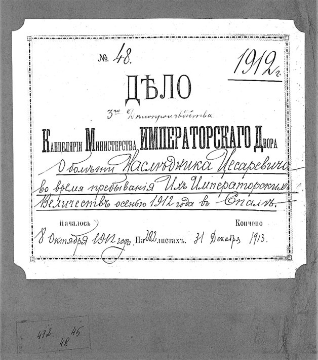 Врачи двора его Императорского величества, или Как лечили царскую семью Врачи двора его Императорского величества, или Как лечили царскую семью