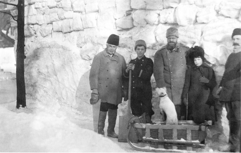 Врачи двора его Императорского величества, или Как лечили царскую семью Врачи двора его Императорского величества, или Как лечили царскую семью