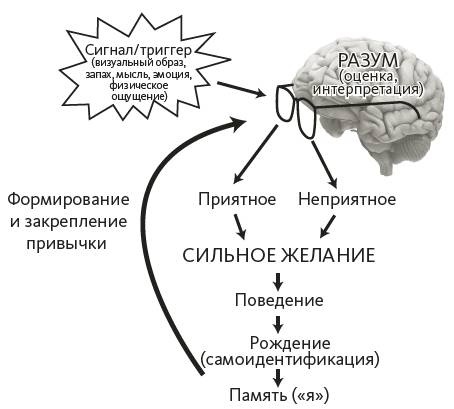 Зависимый мозг. От курения до соцсетей. Почему мы заводим вредные привычки и как от них избавиться Зависимый мозг. От курения до соцсетей. Почему мы заводим вредные привычки и как от них избавиться