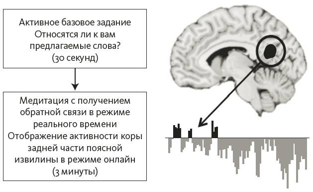 Зависимый мозг. От курения до соцсетей. Почему мы заводим вредные привычки и как от них избавиться Зависимый мозг. От курения до соцсетей. Почему мы заводим вредные привычки и как от них избавиться