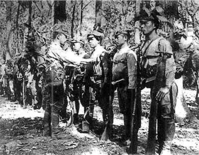 Японская армия. 1942-1945 Японская армия. 1942-1945