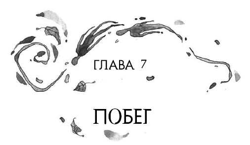 Книга огня Книга огня