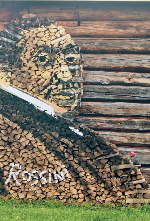 Норвежский лес: скандинавский путь к силе и свободе Норвежский лес: скандинавский путь к силе и свободе