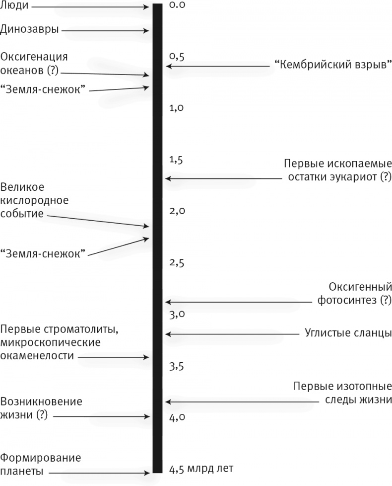 Вопрос жизни. Энергия, эволюция и происхождение сложности Вопрос жизни. Энергия, эволюция и происхождение сложности