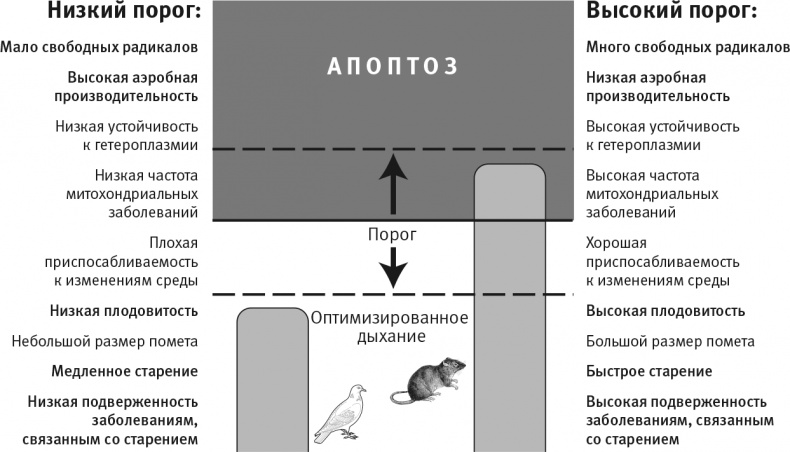 Вопрос жизни. Энергия, эволюция и происхождение сложности Вопрос жизни. Энергия, эволюция и происхождение сложности