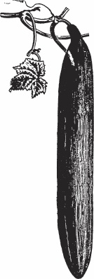 Обед для Льва. Кулинарная книга Софьи Андреевны Толстой Обед для Льва. Кулинарная книга Софьи Андреевны Толстой