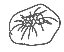 Путь лапши. От Китая до Италии Путь лапши. От Китая до Италии