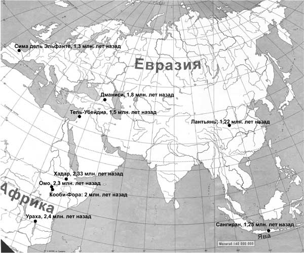 Мифы об эволюции человека Мифы об эволюции человека