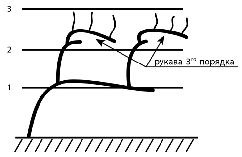 Обрезка винограда. Проверенные способы формировки укрывного винограда в средней полосе России Обрезка винограда. Проверенные способы формировки укрывного винограда в средней полосе России