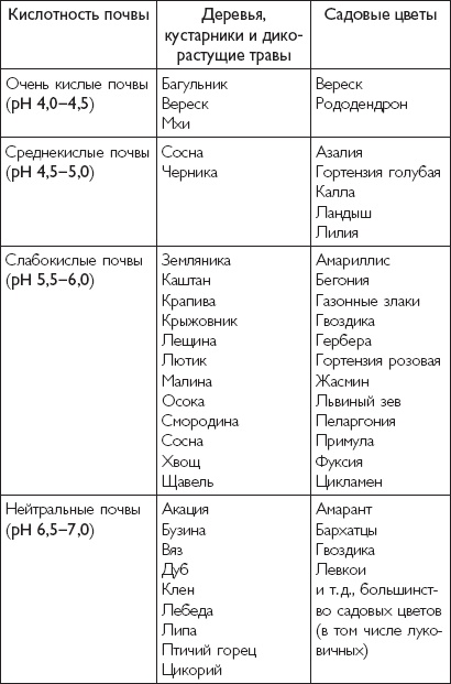 Рассада. Лучше, чем у всех! Секреты, хитрости, подсказки умного садовода. Лунный календарь. Самый удобный и полезный Рассада. Лучше, чем у всех! Секреты, хитрости, подсказки умного садовода. Лунный календарь. Самый удобный и полезный