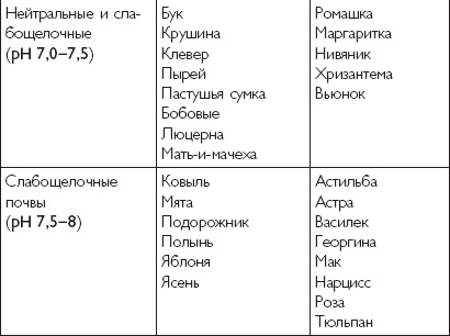 Рассада. Лучше, чем у всех! Секреты, хитрости, подсказки умного садовода. Лунный календарь. Самый удобный и полезный Рассада. Лучше, чем у всех! Секреты, хитрости, подсказки умного садовода. Лунный календарь. Самый удобный и полезный