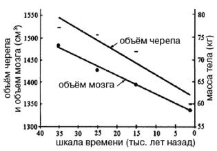 Эректус бродит между нами. Покорение белой расы Эректус бродит между нами. Покорение белой расы
